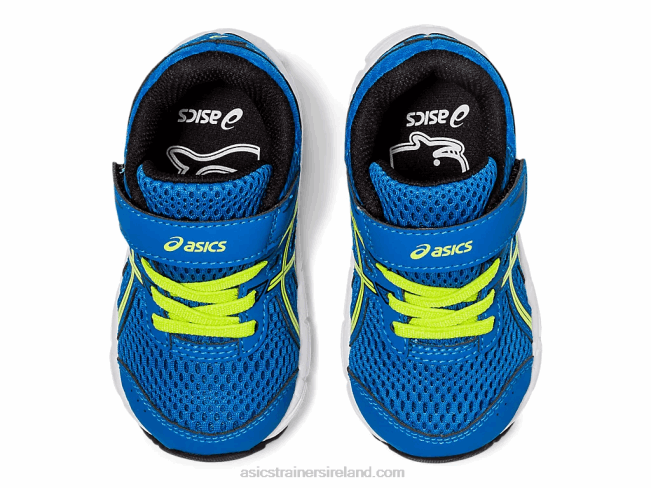 Contend 6 Toddler Size Directoire Blue/Lime Zest Asics XXPD4562