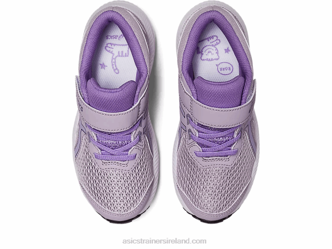 Contend 8 Pre-School Dusk Violet/Digital Violet Asics XXPD4248