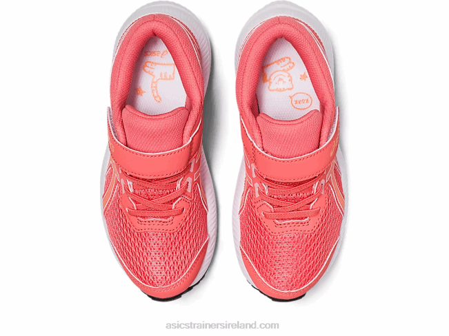 Contend 8 Pre-School Papaya/Summer Dune Asics XXPD4259