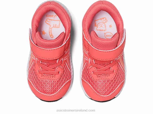 Contend 8 Toddler Size Papaya/Summer Dune Asics XXPD4232