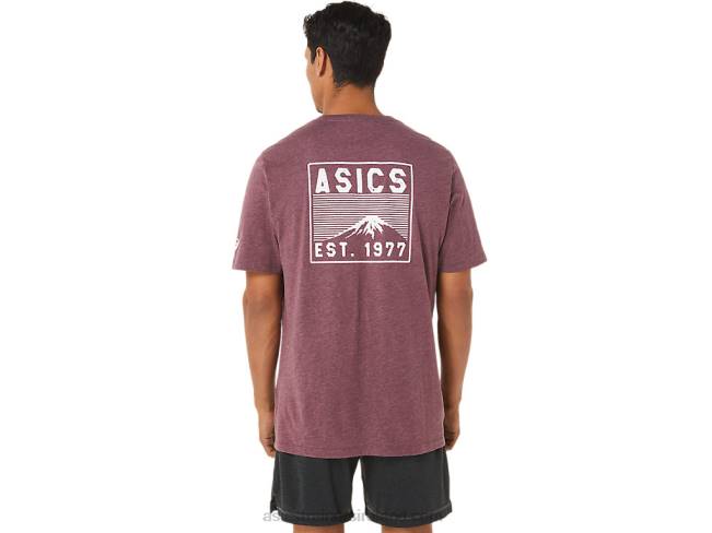 Fuji 1977 Tee Deep Mars Heather Asics XXPD1265