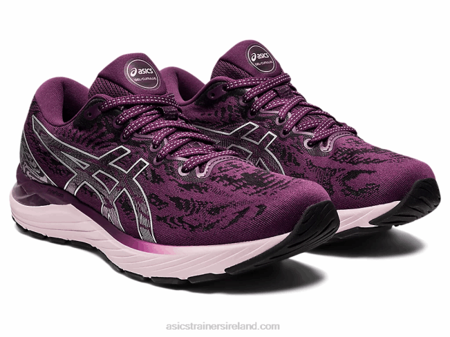 Gel-Cumulus 23 Deep Plum/Pure Silver Asics XXPD3551