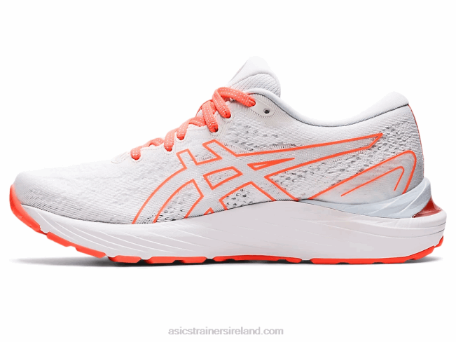 Gel-Cumulus 23 White/Sky Asics XXPD1407