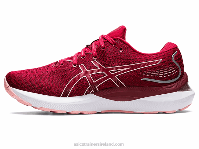 Gel-Cumulus 24 Cranberry/Frosted Rose Asics XXPD2858