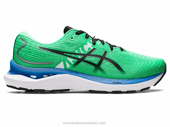 Gel-Cumulus 24 Ekiden New Leaf/Black Asics XXPD811