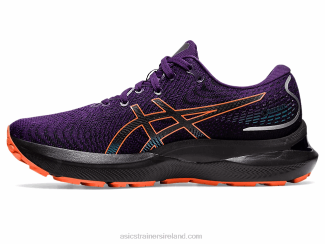 Gel-Cumulus 24 Gtx Night Shade/Nova Orange Asics XXPD2591