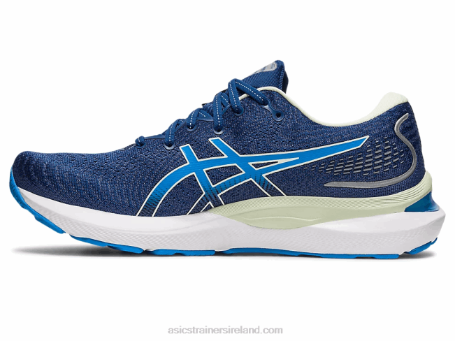 Gel-Cumulus 24 Midnight Blue/Azul Blue Asics XXPD153