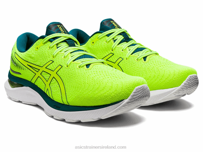 Gel-Cumulus 24 Safety Yellow/Velvet Pine Asics XXPD1036