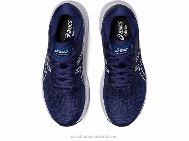 Gel-Excite 9 Indigo Blue/Sky Asics XXPD2398