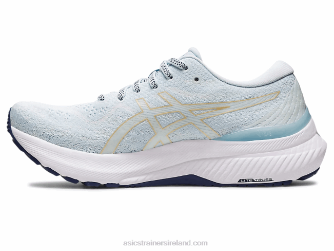 Gel-Kayano 29 Sky/Champagne Asics XXPD2384