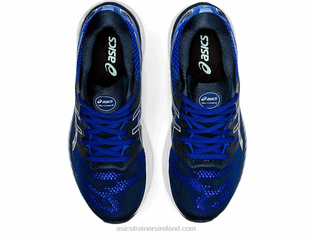 Gel-Nimbus 23 French Blue/Fresh Ice Asics XXPD3899