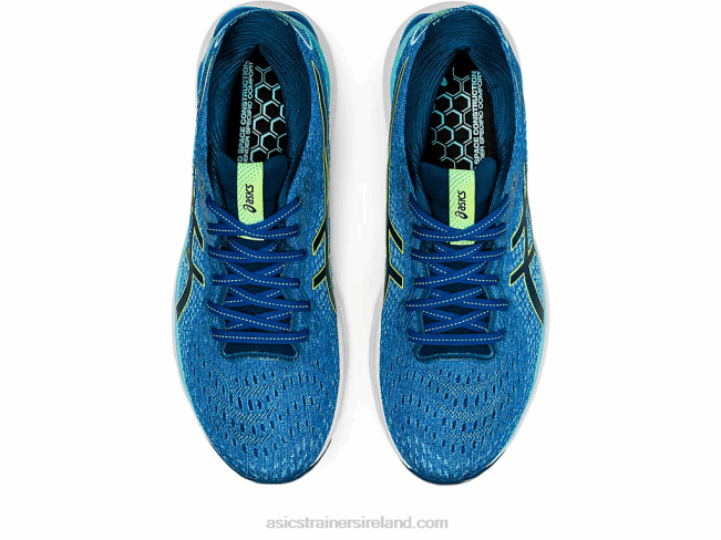 Gel-Nimbus 24 Lake Drive/Hazard Green Asics XXPD1552