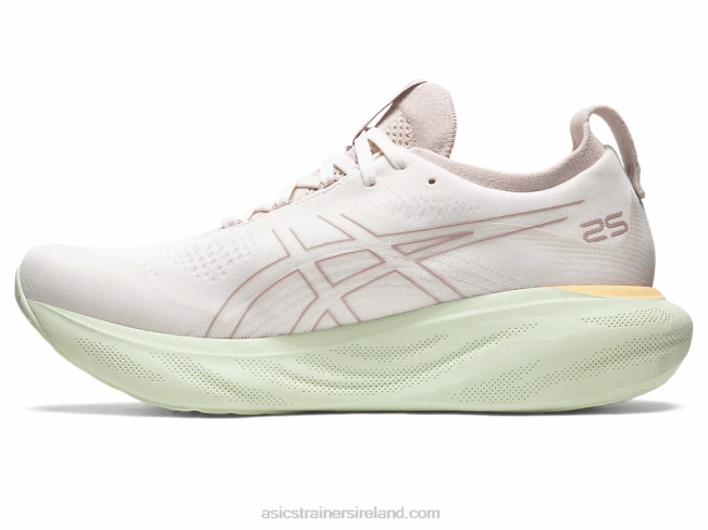 Gel-Nimbus 25 Cream/Fawn Asics XXPD335