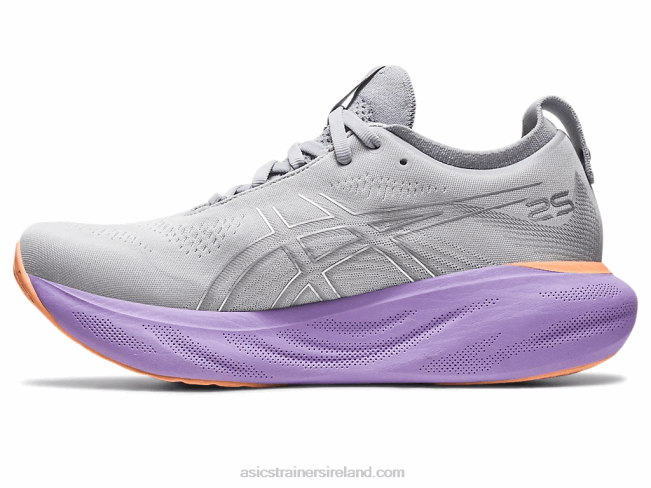 Gel-Nimbus 25 Piedmont Grey/Pure Silver Asics XXPD2148