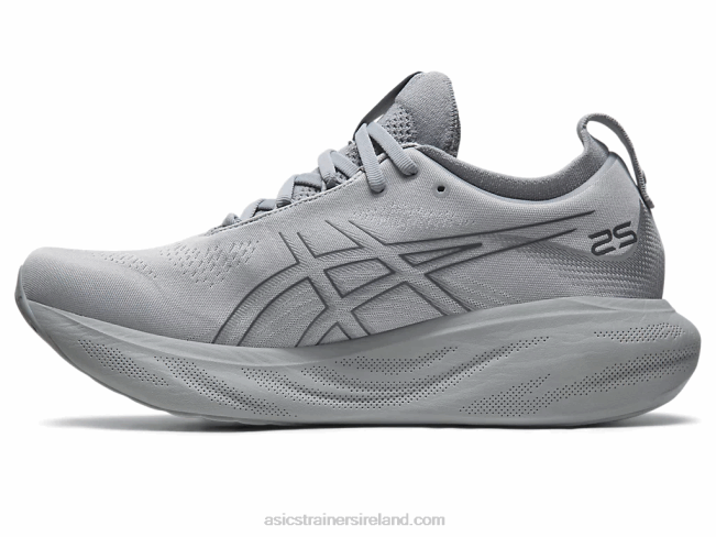 Gel-Nimbus 25 Sheet Rock/Carrier Grey Asics XXPD332