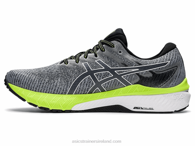 Gt-2000 10 Carrier Grey/White Asics XXPD1475