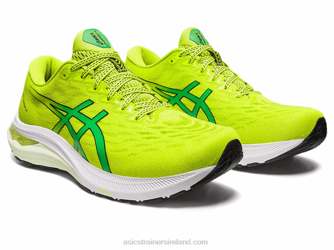 Gt-2000 11 Lime Zest/Black Asics XXPD104