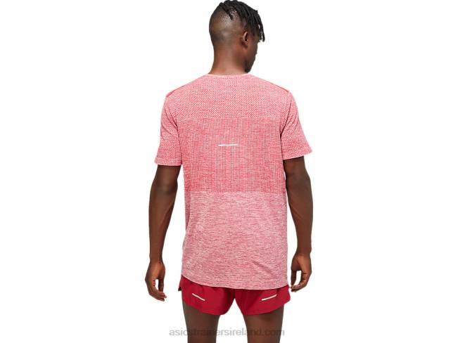 Men\s Race Seamless Short Sleeve Burgundy Asics XXPD1806