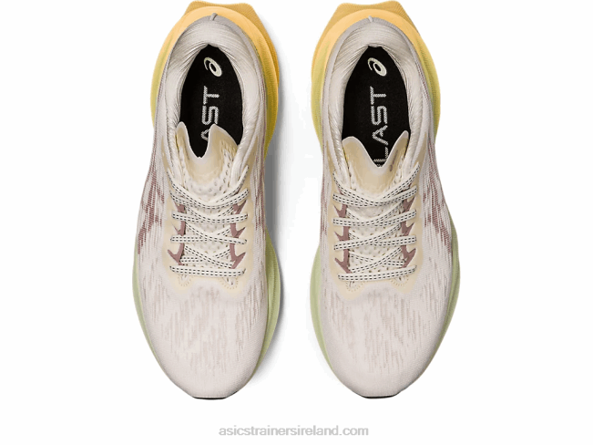 Novablast 3 Cream/Fawn Asics XXPD2870