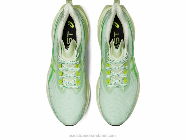 Novablast 3 Le Whisper Green/Cilantro Asics XXPD110