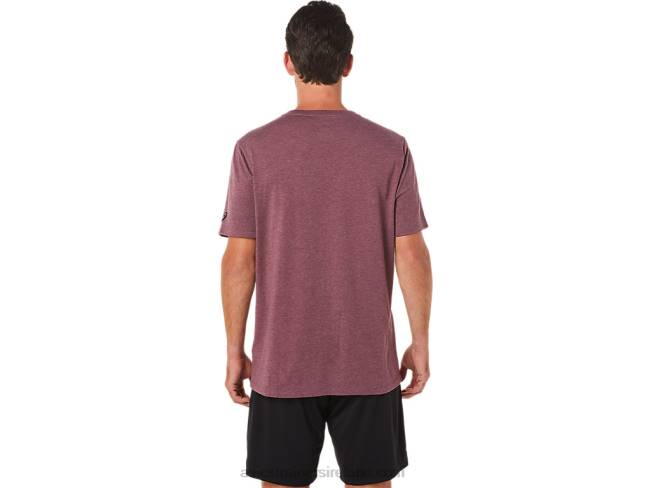 Paintbrush Short Sleeve Tee Deep Mars Heather Asics XXPD2078