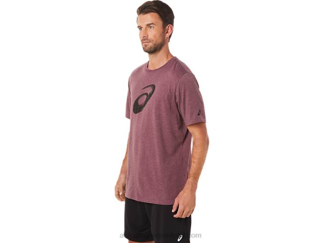 Paintbrush Short Sleeve Tee Deep Mars Heather Asics XXPD2078