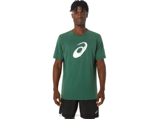 Paintbrush Short Sleeve Tee Hunter Green Asics XXPD879