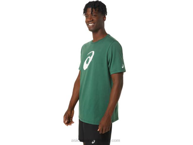 Paintbrush Short Sleeve Tee Hunter Green Asics XXPD879