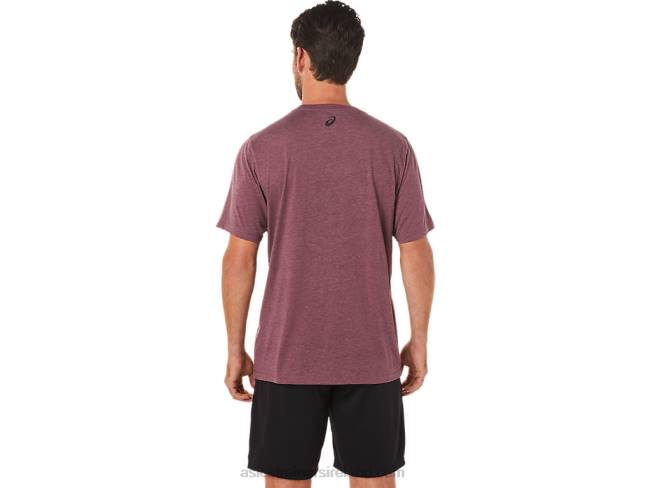 Stripe Short Sleeve Tee Deep Mars Heather Asics XXPD1643