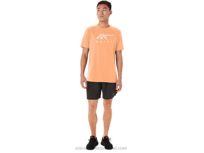 Stripe Short Sleeve Tee Summer Dune Asics XXPD70