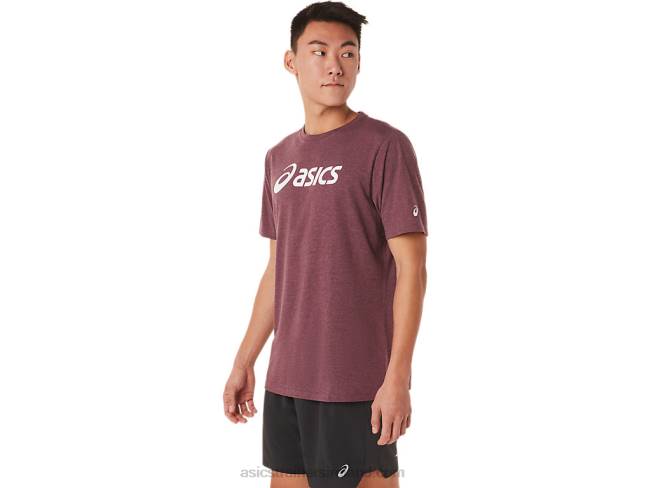 Xg Short Sleeve Lockup Logo Tee Deep Mars Heather Asics XXPD1463