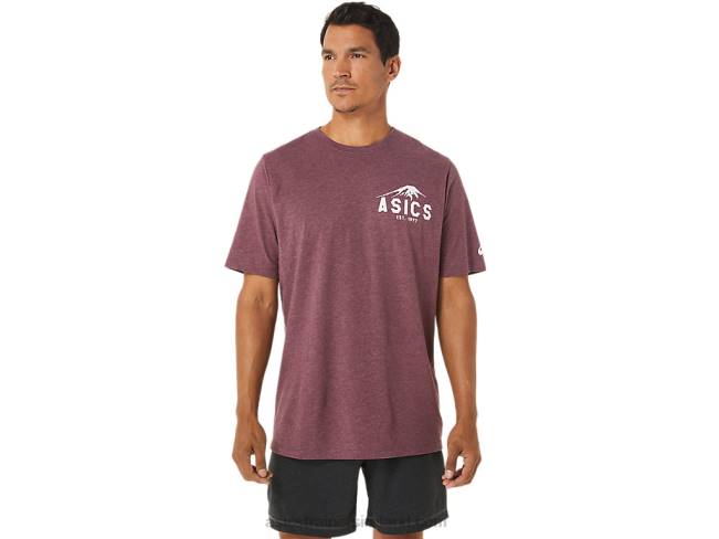 Fuji 1977 Tee Deep Mars Heather Asics XXPD1265