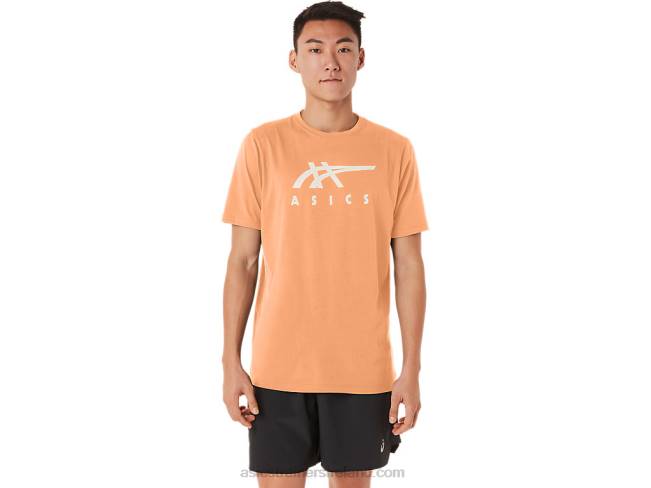 Stripe Short Sleeve Tee Summer Dune Asics XXPD70