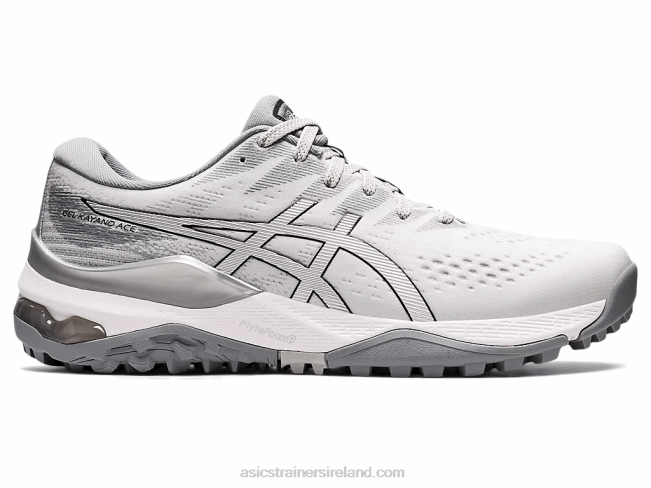 Gel-Kayano Ace Glacier Grey/Pure Silver Asics XXPD1192