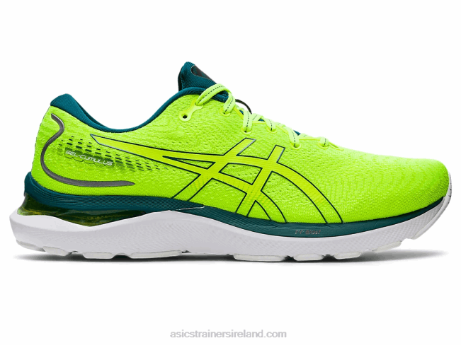 Gel-Cumulus 24 Safety Yellow/Velvet Pine Asics XXPD1036