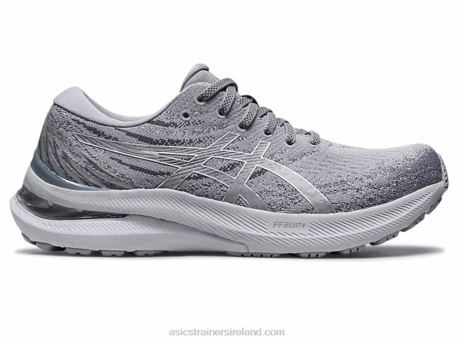 Gel-Kayano 29 Sheet Rock/Pure Silver Asics XXPD2969